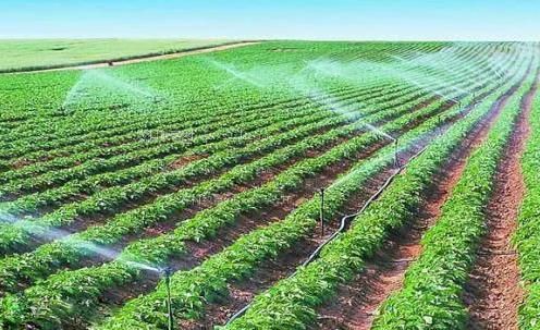 laosijibicaosaodiao农田高 效节水灌溉